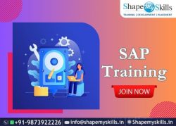 Top SAP Training Institute in Noida | ShapeMySkills