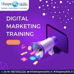 Top Training Institute of Digital Marketing at ShapeMySkills