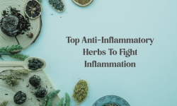 Top Anti-Inflammatory Herbs To Fight Inflammation