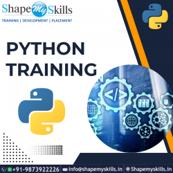 Unlock Your Coding Skills in Python at ShapeMySkills