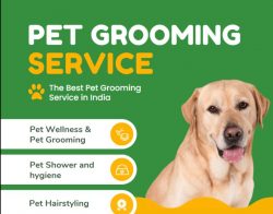 Pamper Your Pet with Expert Pet Grooming Services – Pet Hair Set
