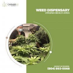 Weed Dispensary Virginia Beach Area