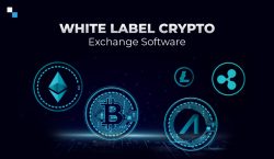 Use White Label Exchange Software to Launch Your Exchange within Few Weeks