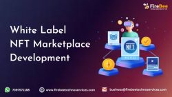 White Label NFT Marketplaces: A Gateway to the Digital Collectibles Economy