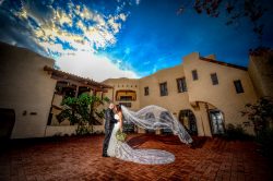 Professional Wedding Photographers Miami