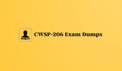 CWSP-206 Study Materials: Exclusive Discounts on Top Quality Content