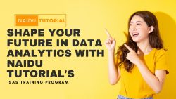 Shape Your Future in Data Analytics with Naidu Tutorial’s SAS Training Program