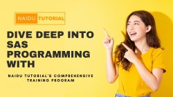 Dive Deep into SAS Programming with Naidu Tutorial’s Comprehensive Training Program