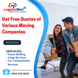 What do packers and movers in Airoli for seamless moving?