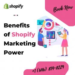 Why Marketing is Necessary on Shopify?