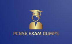 Find the Best Course for Passing the PCNSE Certification exam