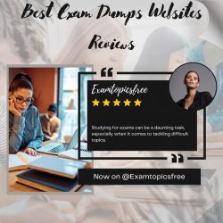 Best Exam Dumps Websites for Certification Prep: Reviews and Rankings