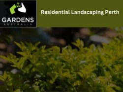 Professional Residential Landscaping In Perth Can Transform Your Outdoor Space