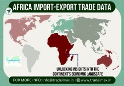 Top Africa Exports and Imports
