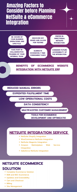 Amazing Factors to Consider before Planning NetSuite & eCommerce Integration