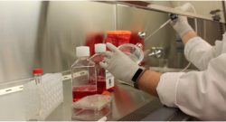 9 Applications of Animal Cell Culture: Cancer Research