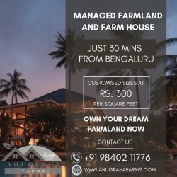 Anugraha Farms: Pioneering Excellence in Managed Farmlands
