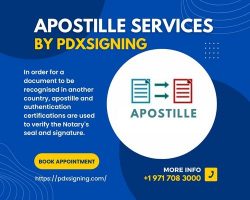 Apostille services