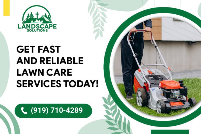 Get the Perfect Lawncare Services Today!