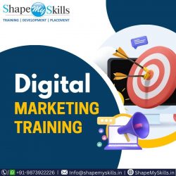 Begin Your Career in Digital Marketing Online Training at ShapeMySkills