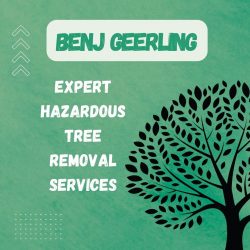 Benj Geerling – Expert Hazardous Tree Removal Services