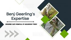 Benj Geerling’s Expertise – Ensuring Safe Removal of Hazardous Trees