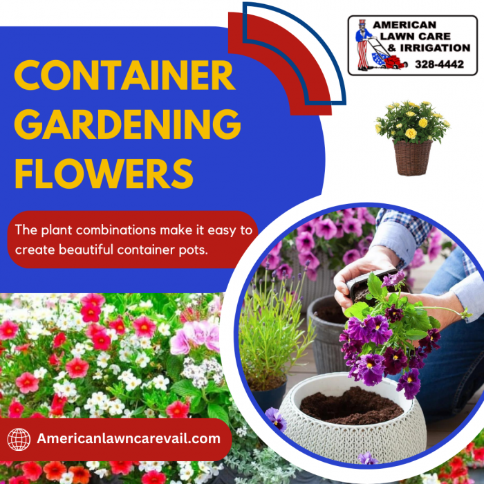 Best Container Flowers for Your Garden