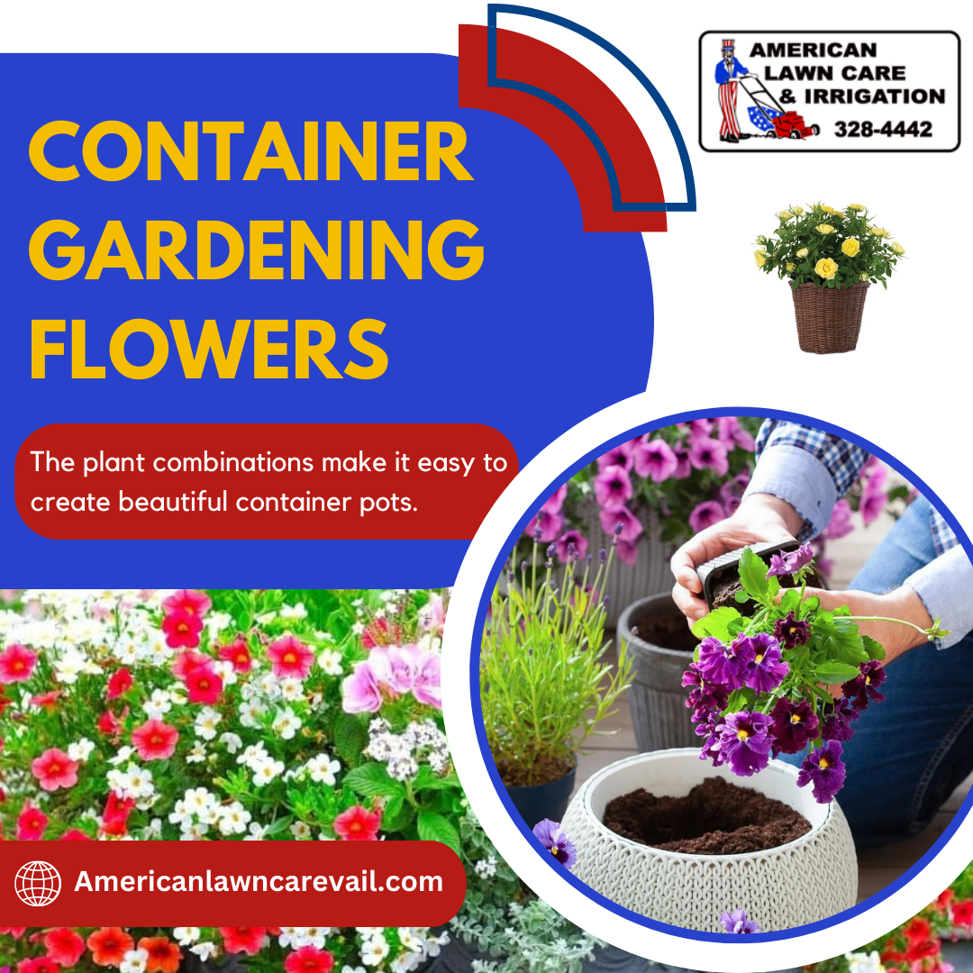 Best Container Flowers for Your Garden Social Social Social Social