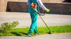 Weed Warriors: Gardening and Landscaping Services in Manchester