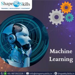 Best Placement from Machine Learning Online Training at ShapeMySkills