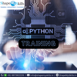 Best Python Online Course in Noida at ShapeMySkills
