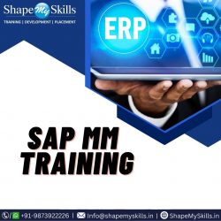Best SAP MM Course at ShapeMySkills