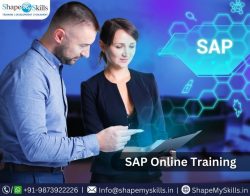 Best SAP Training Course at ShapeMySkills