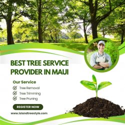 Best Tree Service Provider In Maui – Island Tree Style