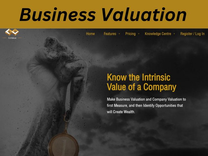 Unlock Business Valuation: Learn 10 Essential Methods and Formulas to Determine the Value of a C ...