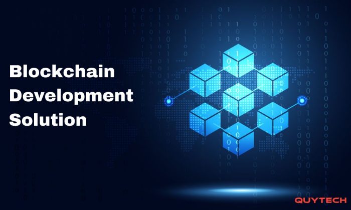 Elevate Your Business with Secure and Efficient Blockchain Solutions