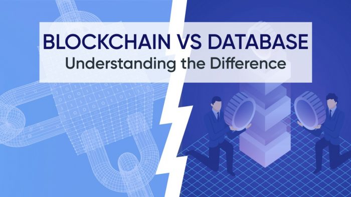 Blockchain vs Databases: Everything You Must Know