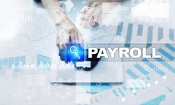 Tailored Solutions for Contractors: The Advantages of Construction Payroll Services