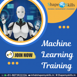 Master Machine Learning Online Training at ShapeMySkills