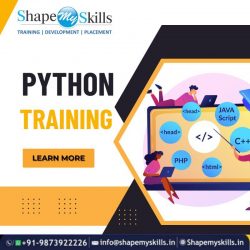 Boost Your Skills in Python at ShapeMySkills