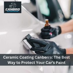 Ceramic Coating Canberra: The Best Way to Protect Your Car’s Paint