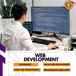 Ecommerce Web Design & Development Services