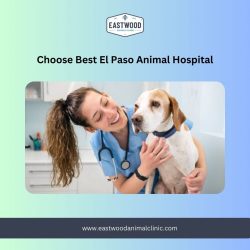 Choose Best El Paso Animal Hospital