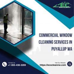 Why Eco Clean Northwest is the Best Choice for Commercial Window Cleaning in Puyallup, WA