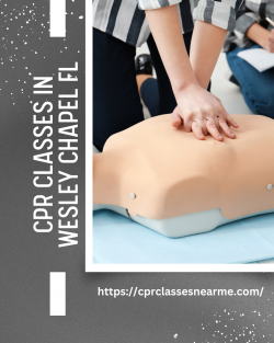 Saving Lives Made Easy: CPR Classes In Wesley Chapel FL