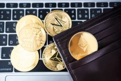 Crypto Wallets: Safeguarding the Future of Digital Assets