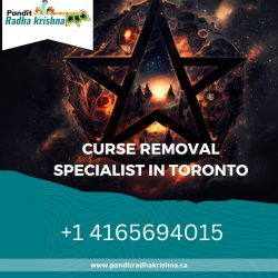 Curse Removal Specialist in Toronto | Pandit Radha Krishna ji