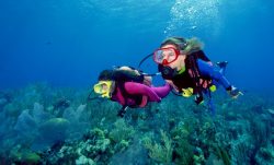Scuba Diving Course Phuket