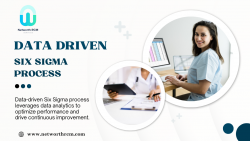 Data Driven Six Sigma process in Medical Billing – Networth RCM