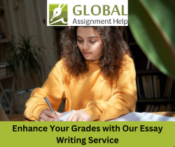 Ace Your Essays with Professional Essay Writing Service
